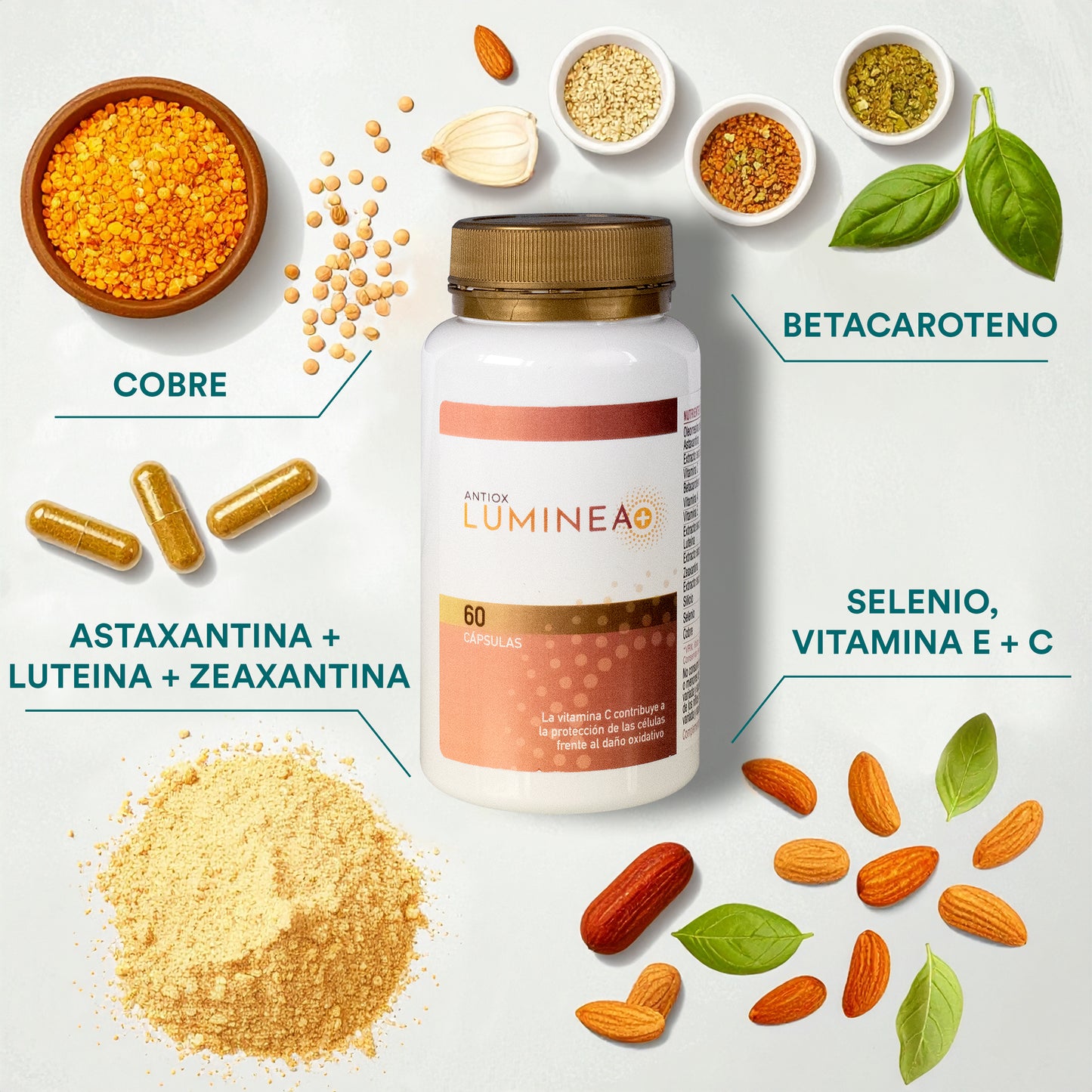 LUMINEA+
