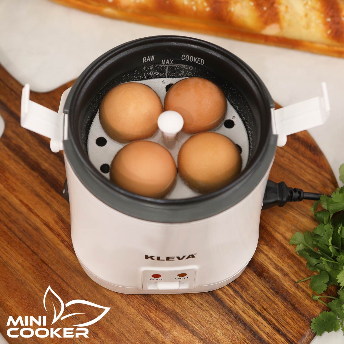 MINI COOKER